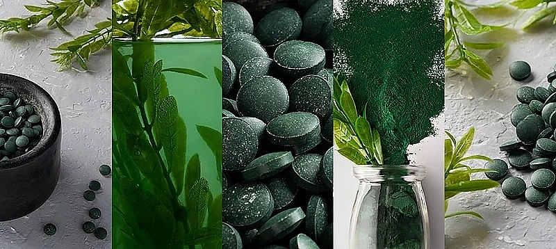 Spirulina jest produktem zdrowotnym